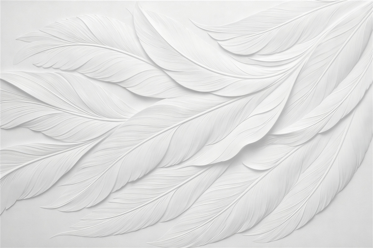 Papier peint plumes blanches dans un relief subtil