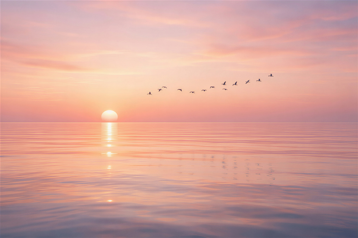 Papier peint lever de soleil pastel sur la mer calme