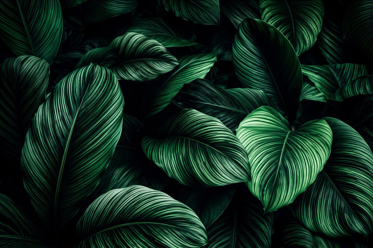 Papier peint feuilles tropicales vert foncé