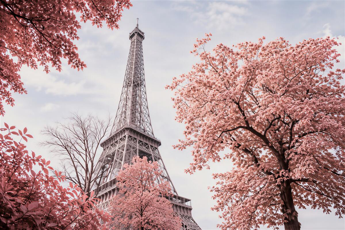 Papier peint fleurs de cerisier devant la tour Eiffel