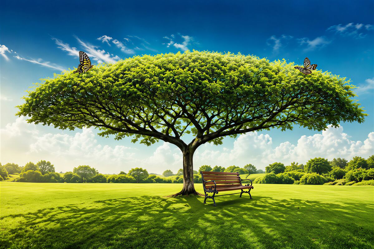 Papier peint Grand arbre vert