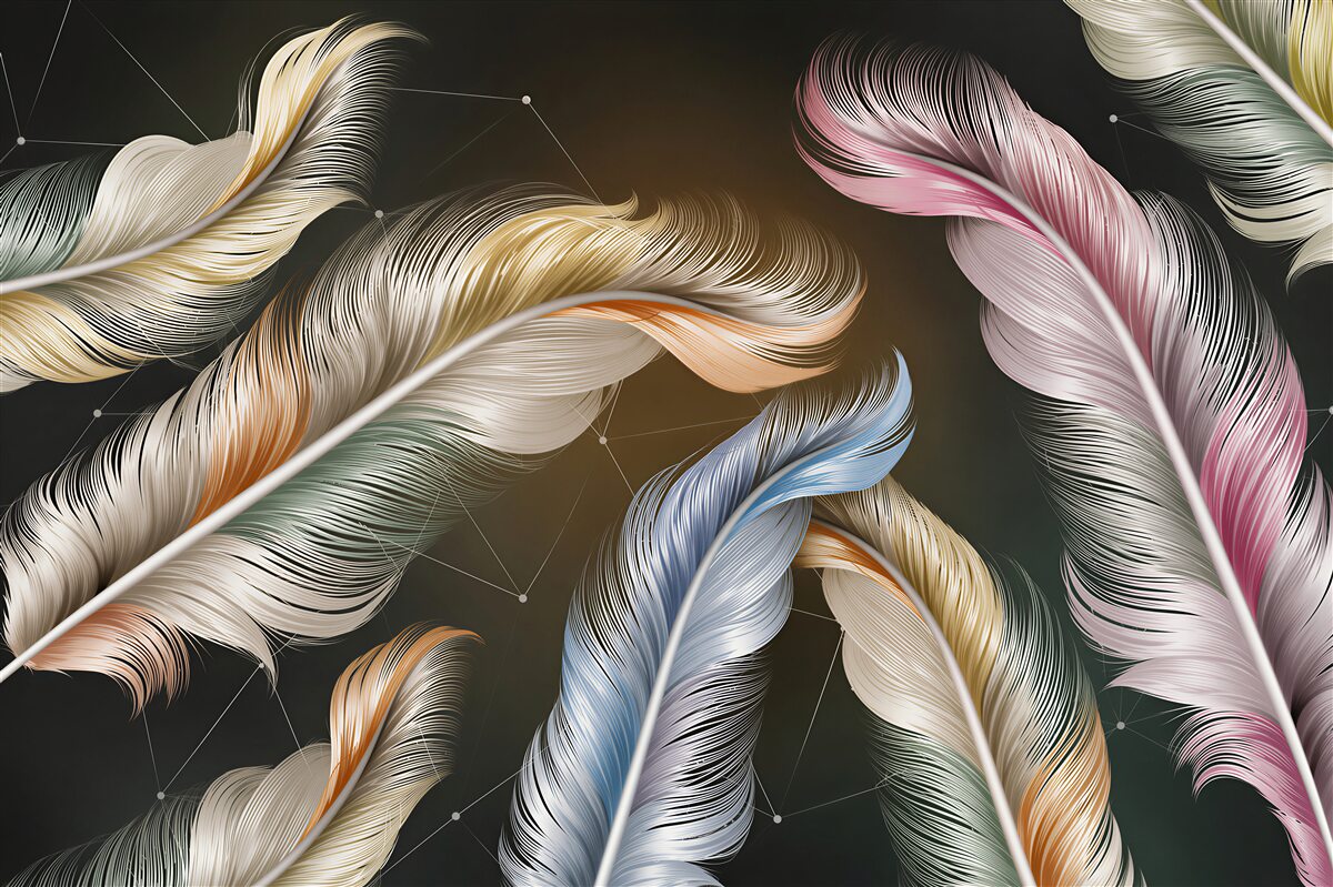Papier peint plumes d'oiseaux multicolores