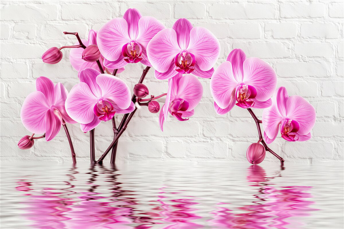 Papier peint douces orchidées lilas