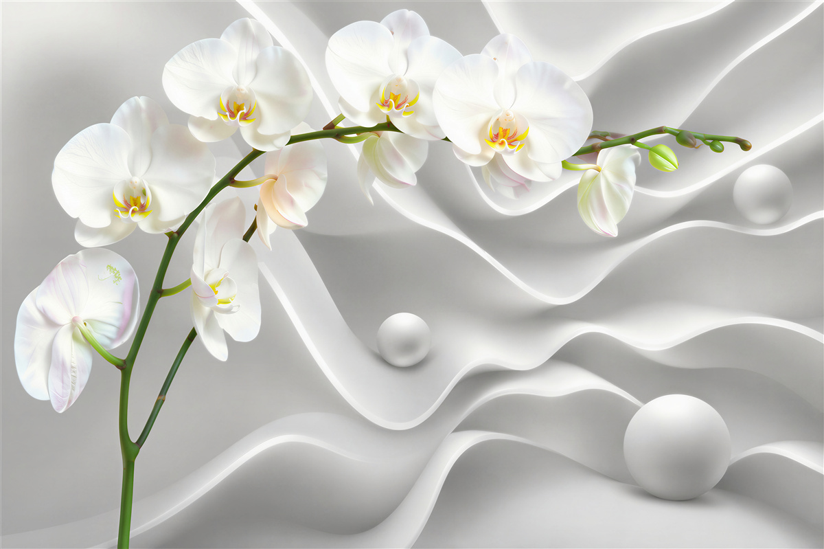 Papier peint orchidée blanche sur fond gris