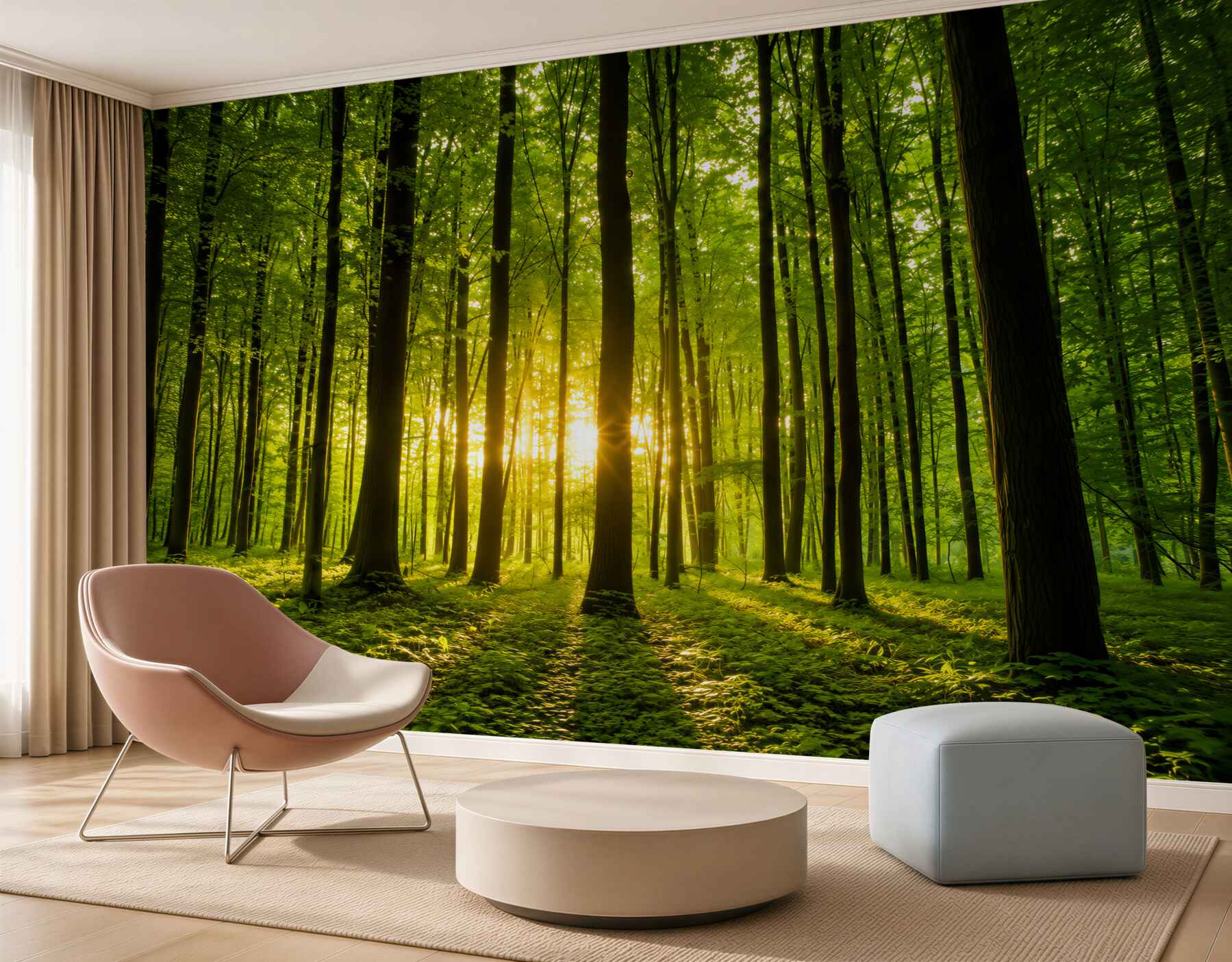 Papier peint rayons de soleil traversant une forêt élancée