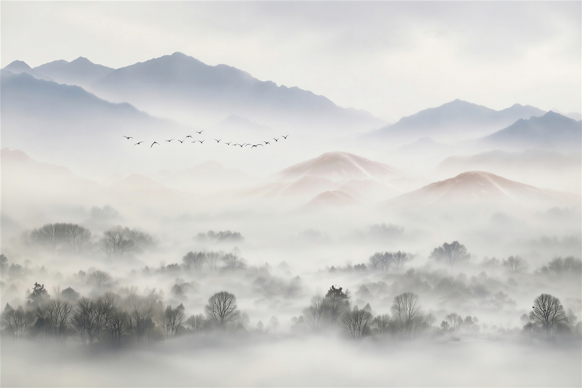 Papier peint épaisse et froide brume enveloppant les montagnes