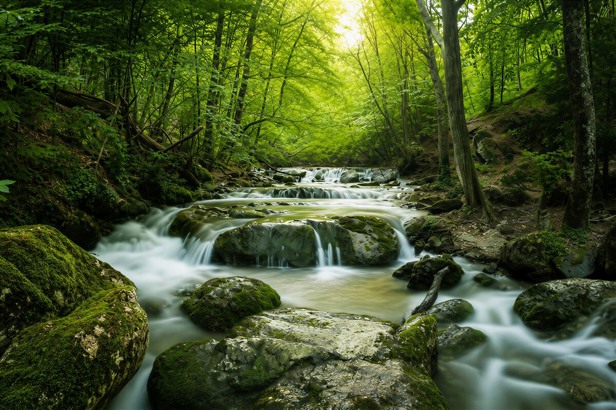 Papier peint eaux paisibles d'une cascade dans une forêt verte