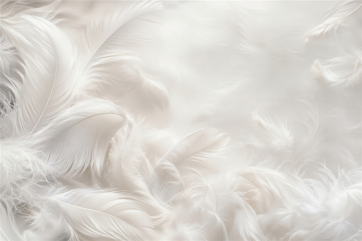 Papier peint plumes noir et blanc dans l'air