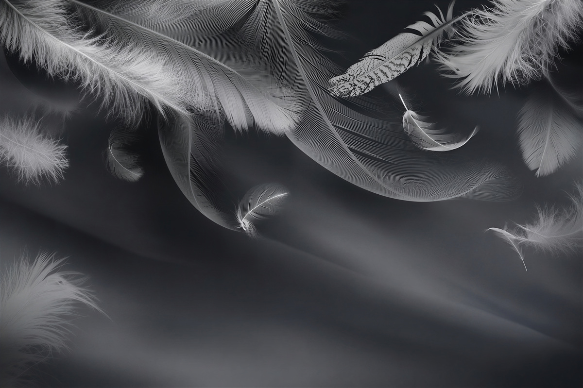 Papier peint plumes sur fond sombre