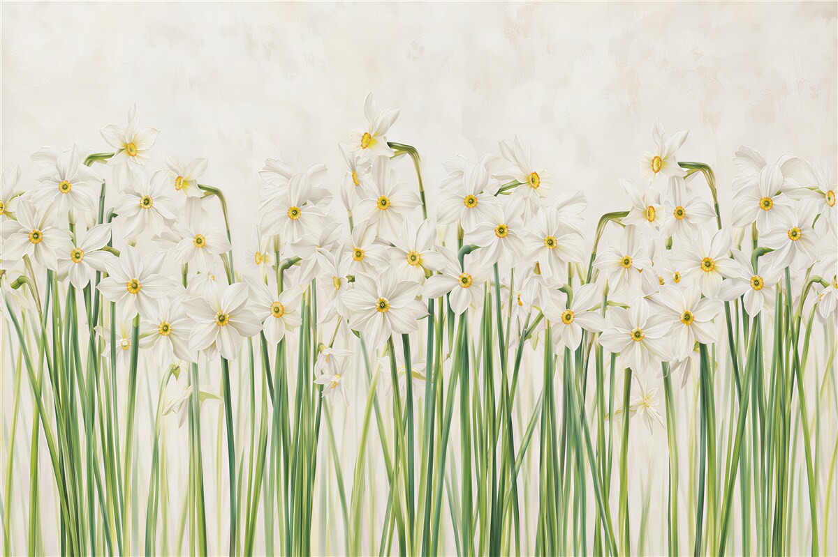 Papier peint Jonquilles blanches