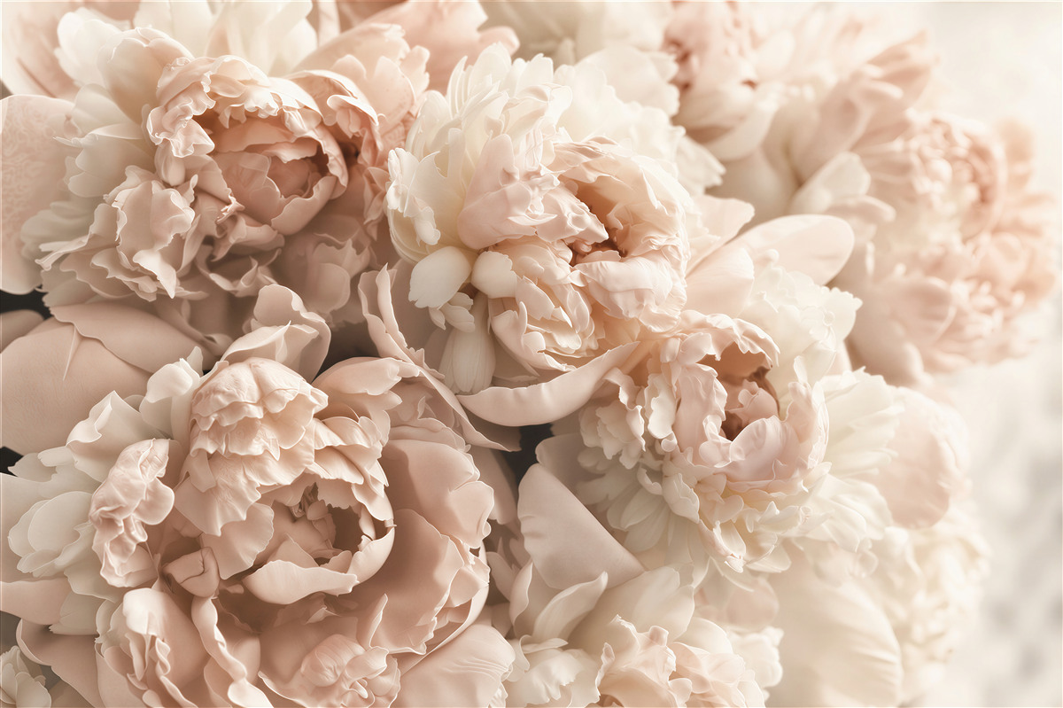 Papier peint pivoines dans des tons beiges