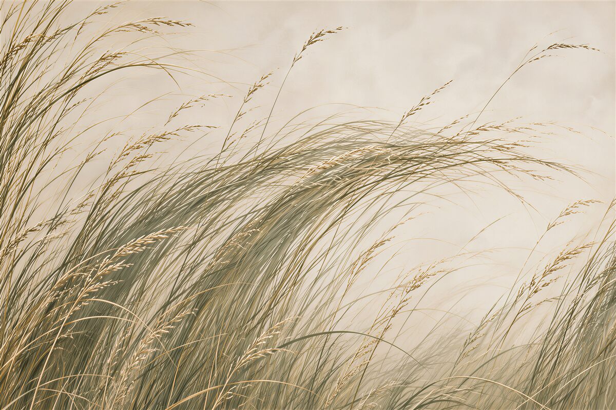 Papier peint herbes dans le vent